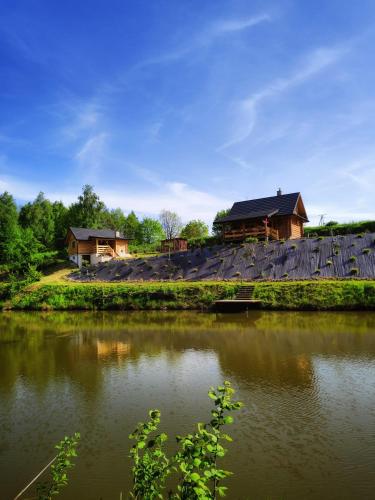 a view of a river with houses in the background at Siedlisko Sielska Dolina Nad Stawem luksusowy domek całoroczny z klimatyzacją in Tarnowiec
