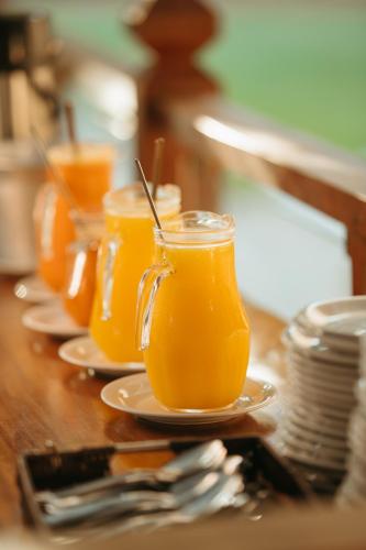 four glasses of orange juice on plates on a table at Engenho da Serra Hotel EcoResort in Capitólio
