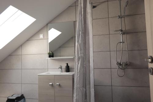 een badkamer met een douche en een wastafel bij MaRéJa Vendégház in Hortobágy