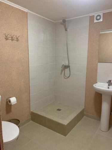 a bathroom with a shower and a toilet and a sink at Mega city in Kyiv