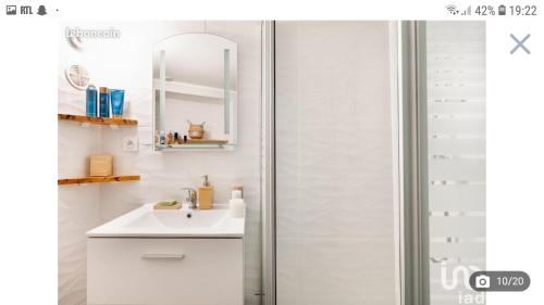 uma casa de banho branca com um lavatório e um chuveiro em Studio cosy, quai de Saône, centre ville em Lyon
