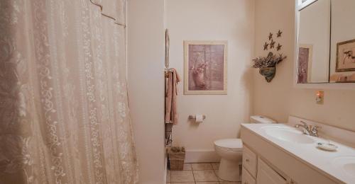 La salle de bains est pourvue d'un rideau de douche et de toilettes. dans l'établissement Nashville Suite 1, à Nashville
