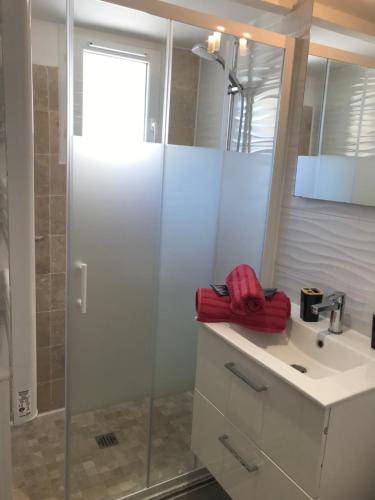 a bathroom with a glass shower and a sink at Studio cocooning avec jardin in Montpellier