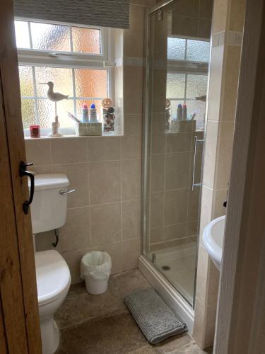 een badkamer met een douche, een toilet en een wastafel bij Cream Cottage Annex in Poole