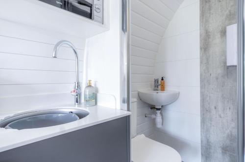a white bathroom with a sink and a toilet at Woody's - 1 Bedroom Pod - Cold Inn in East Williamston