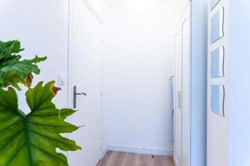 uma porta num quarto com uma planta ao lado em Le coquet - Balcon - Proche gare - Parking em Bourg-en-Bresse