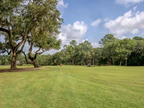 a large green field with trees in the background at 2631 Seabrook Island Road in Seabrook Island