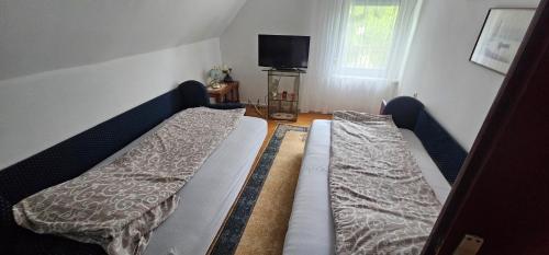 a bedroom with two beds and a flat screen tv at Vila Sinfonia, a house with a pool in Velika Remeta