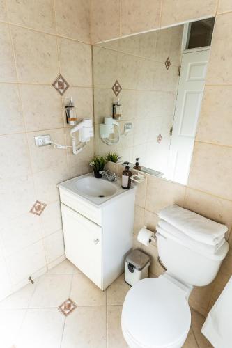 a bathroom with a toilet and a sink and a mirror at Montaña Blanca in Farellones