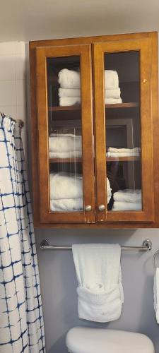納許維爾的住宿－Captain's Quarters Riverfront #2，一间带卫生间的浴室和一个带毛巾的橱柜