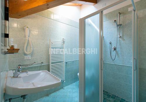 La salle de bains est pourvue d'un lavabo et d'une douche. dans l'établissement Hotel Sasselli, à Cesenatico