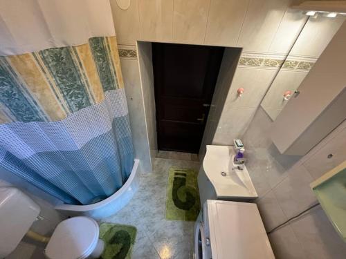 a bathroom with a shower and a toilet and a sink at Studio Apartman Ana in Lastovo