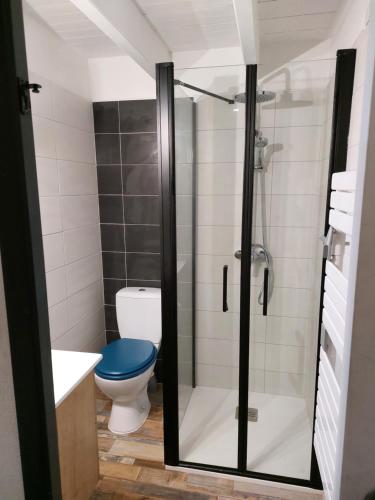 La salle de bains est pourvue de toilettes et d'une douche en verre. dans l'établissement Maisonnette Les Sables, à Les Sables-dʼOlonne