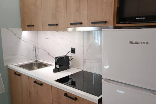 een keuken met een aanrecht met een wastafel en een koelkast bij I5 studio in Ioannina