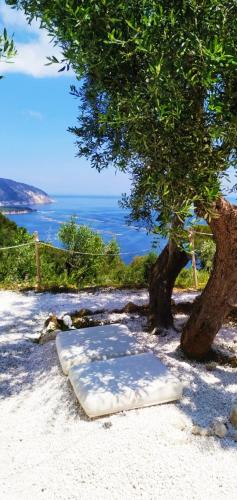PETRA BIANCA Charming House – Photos 5