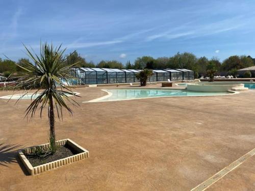 un palmier dans une cour à côté d'une piscine dans l'établissement Lac Aureilhan et Mimizan plages, Mobil H 3 chambres, 6 personnes climatisé, à Aureilhan