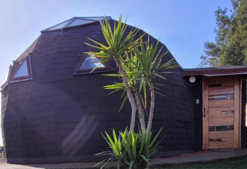a black house with a palm tree in front of it at Domos Mi Espacio Rustiko in San Carlos