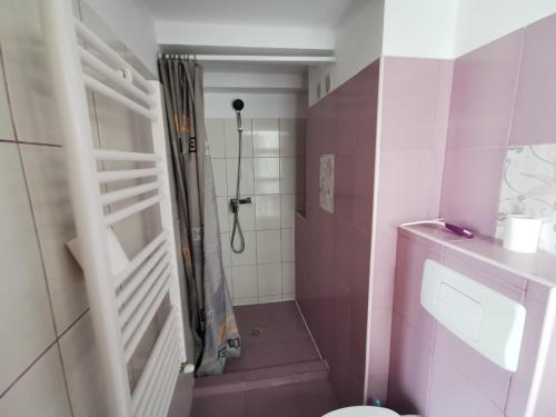 a pink bathroom with a shower and a toilet at Fitness House with garden in Constanţa