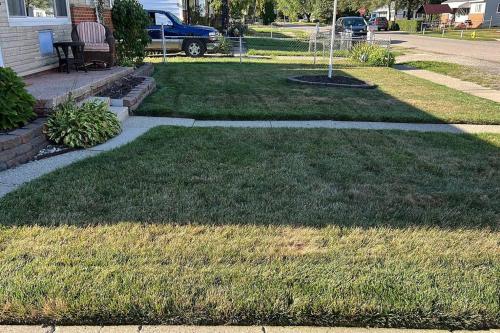 a lawn with a fountain in the middle of a yard at Cute home near EMU and U of M in Ypsilanti