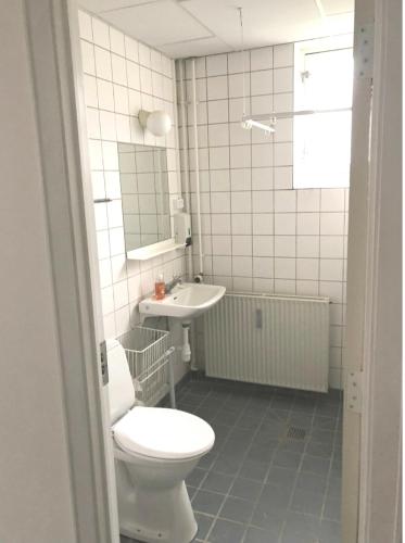 a bathroom with a toilet and a sink at Functional studio/room Copenhagen in Copenhagen