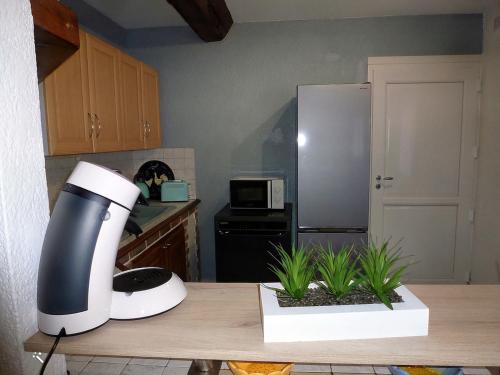 une cuisine avec un plan de travail et un sèche-cheveux dans l'établissement Le Scoubidou, à Perpignan