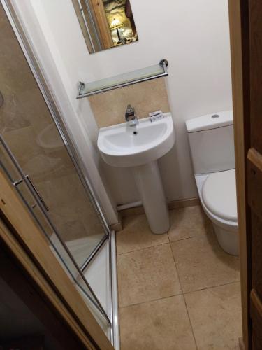 a bathroom with a sink and a toilet at Y Stwdio, Ferm Glandwr in Barmouth