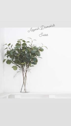 a plant in a glass vase on a shelf at Aegean Diamonds Luxury Suites in Monolithos