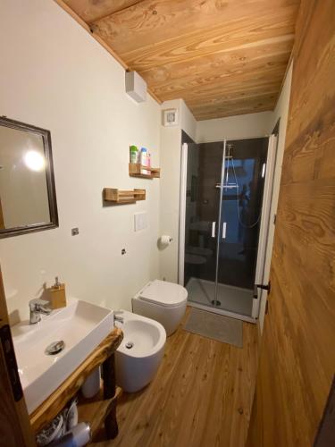 a bathroom with a toilet and a sink and a shower at L'Oasi di Sodani 2 in Sampeyre