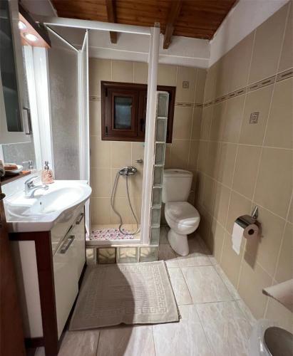 a bathroom with a shower and a sink and a toilet at DIMIS swimming pool small villa in Eretria