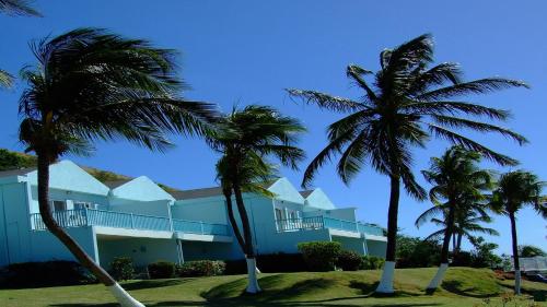 a building with palm trees in front of it at Timothy Beach Resort in Frigate Bay
