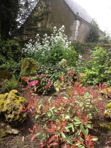 a garden with pink and white flowers and plants at Le Belvédère,double room in Bléré