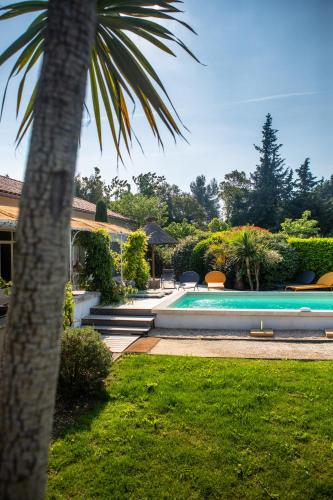 une piscine dans une cour avec un palmier dans l'établissement La case d'Eyragues, au coeur des Alpilles, à Eyragues