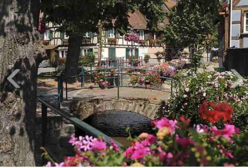 un jardín con flores y un pequeño puente en Les Lavandières Scherwiller, en Scherwiller
