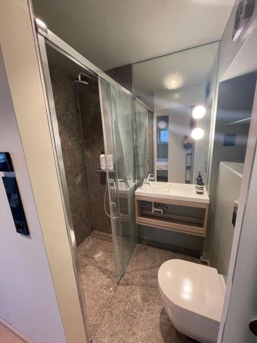 a bathroom with a shower and a toilet and a sink at Frognervein Terrace Penthouse in Oslo