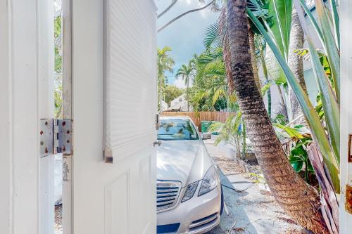 biały samochód zaparkowany obok palmy w obiekcie Sunshine Casita w mieście Key West