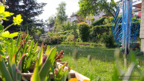 a garden with some plants in the grass at Entire House in Schwarzwald with mountain view, private Sauna, Gym, Garden and Terraces in Unterkirnach
