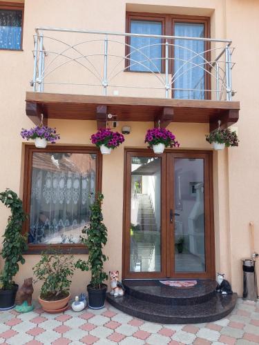 a building with two windows and potted plants at Maria's Dream House in Zărneşti