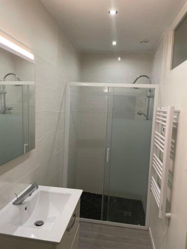 une salle de bain avec un lavabo et une douche en verre dans l'établissement Maison duplex vue cité, à Carcassonne