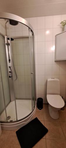 a bathroom with a shower and a toilet at Guesthouse Klambrasel in Husavik