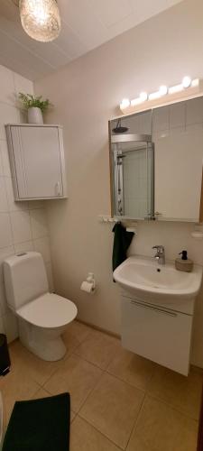 a bathroom with a sink and a toilet and a mirror at Guesthouse Klambrasel in Husavik