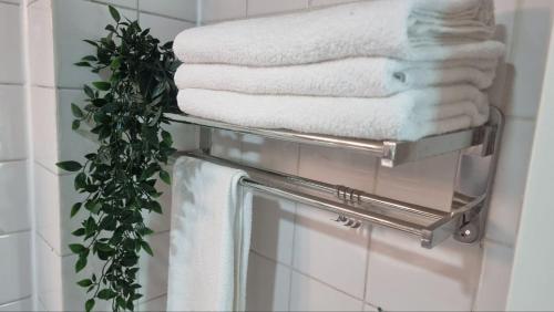 a towel rack with towels and a mirror in a bathroom at Hotel Asturias in Viña del Mar