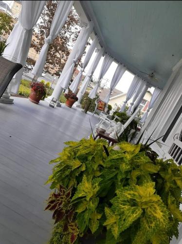 a porch with a bunch of plants and a table at Cozy Turret Room at Nottingham Place in Wise with Plush Queen Bed, Private Detached Full Bath in Wise