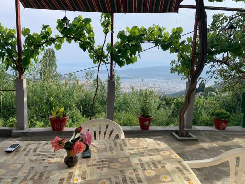 a table with flowers on it with a view at Η θεα traditional house in Makrinítsa