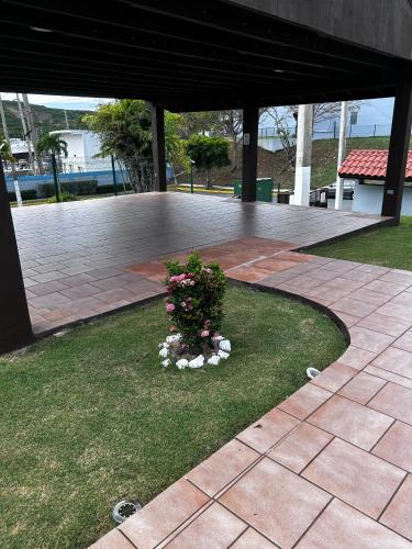 a patio with a plant with flowers in the grass at Peaceful Luxury Villa - TheShine&GlowPlace in Fajardo