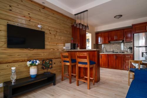 a kitchen with a wooden wall with a flat screen tv at Loft con terraza en Santo Domingo in La Estrella