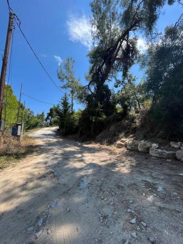 a dirt road with a tree on the side of it at Paralia Homes cheerful 2 bedroom with pool, unit #1 in Kriopigi