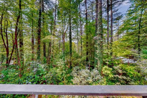 a wooden bench sitting in the middle of a forest at Cobb House in Highlands
