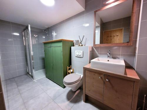 baño con armario verde, aseo y lavamanos en Appartement Les Gets, 2 pièces, 4 personnes - FR-1-598-145, en Les Gets