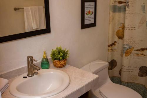 a bathroom with a sink and a toilet and a shower at Casa Flamingos Altabi in Mérida