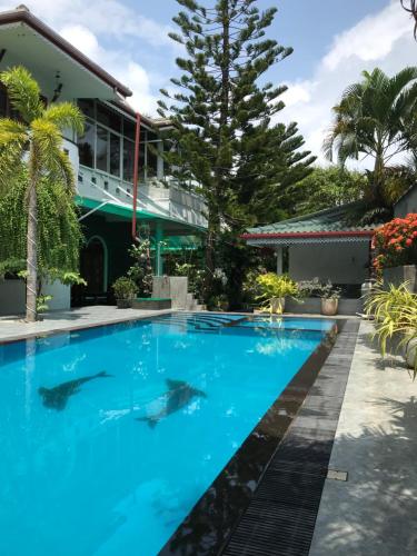 a swimming pool in front of a house with sharks in it at Avon Villa in Hikkaduwa